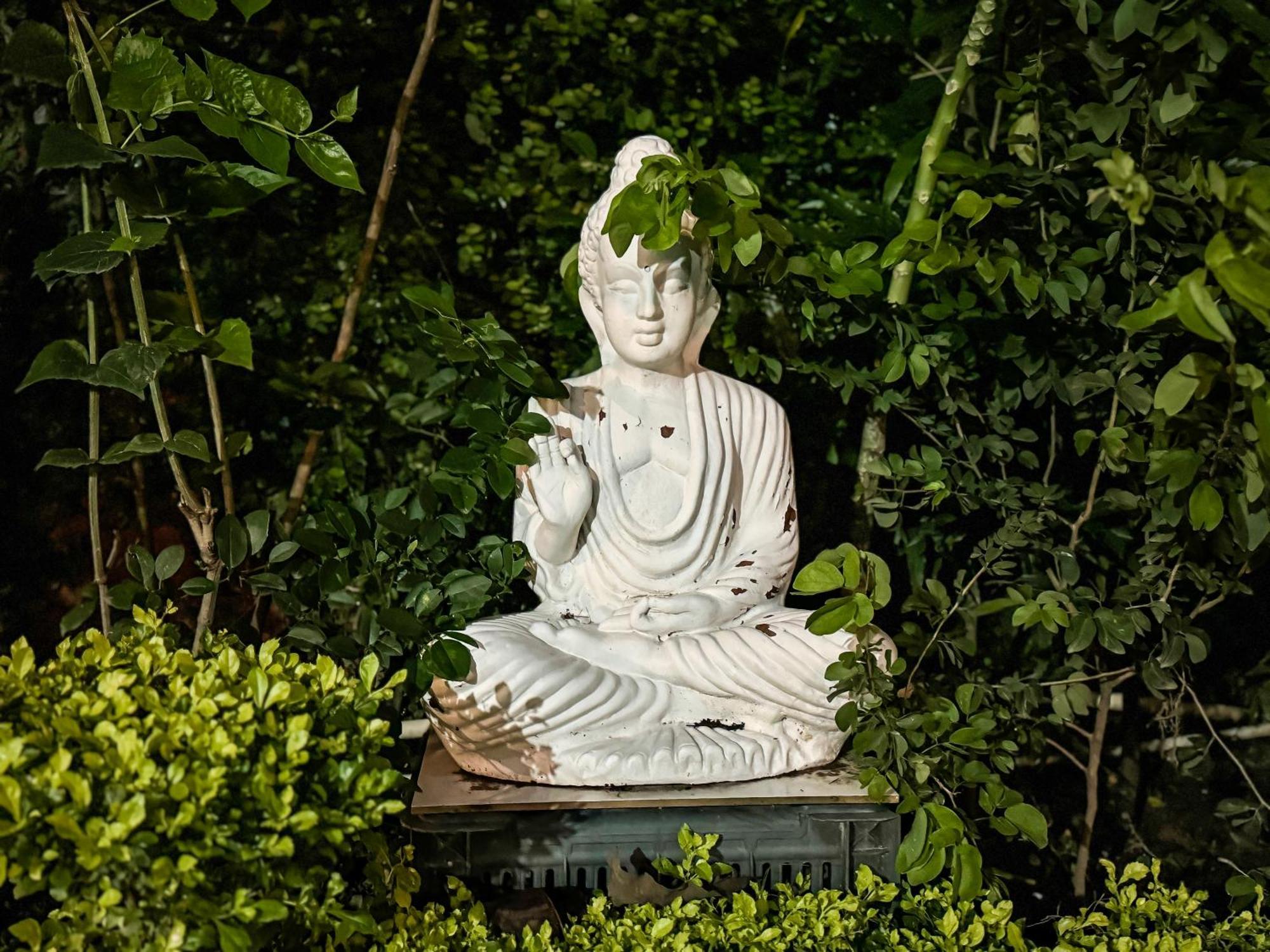 Arogyadham Wellness Retreat 호텔 Rishīkesh 외부 사진